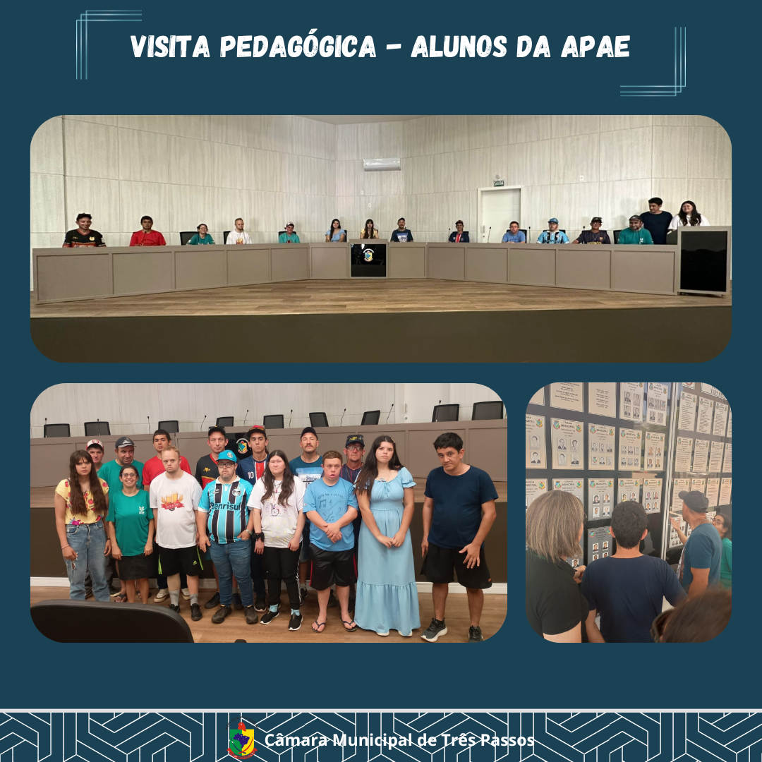 🔹ALUNOS DA APAE REALIZAM VISITA PEDAGÓGICA À CÂMARA MUNICIPAL