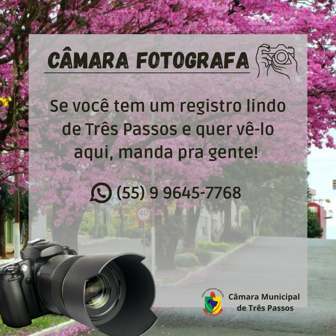 CÂMARA FOTOGRAFA 2025📸✨
