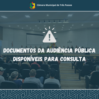 DOCUMENTOS AUDIÊNCIA PÚBLICA - PL Nº 136/2025