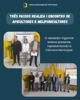 I ENCONTRO DE APICULTORES E MELIPONICULTORES - TRÊS PASSOS