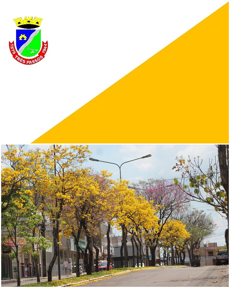 Amarelo na Bandeira do Município é referência aos Ipês Amarelos simbolo da cidade