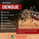 Fique atento aos sinais. Dengue é coisa séria.