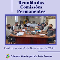 REALIZADA REUNIÃO DAS COMISSÕES PERMANENTES EM 18/11/21