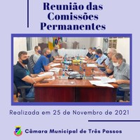 REALIZADA REUNIÃO DAS COMISSÕES PERMANENTES EM 25/11/21