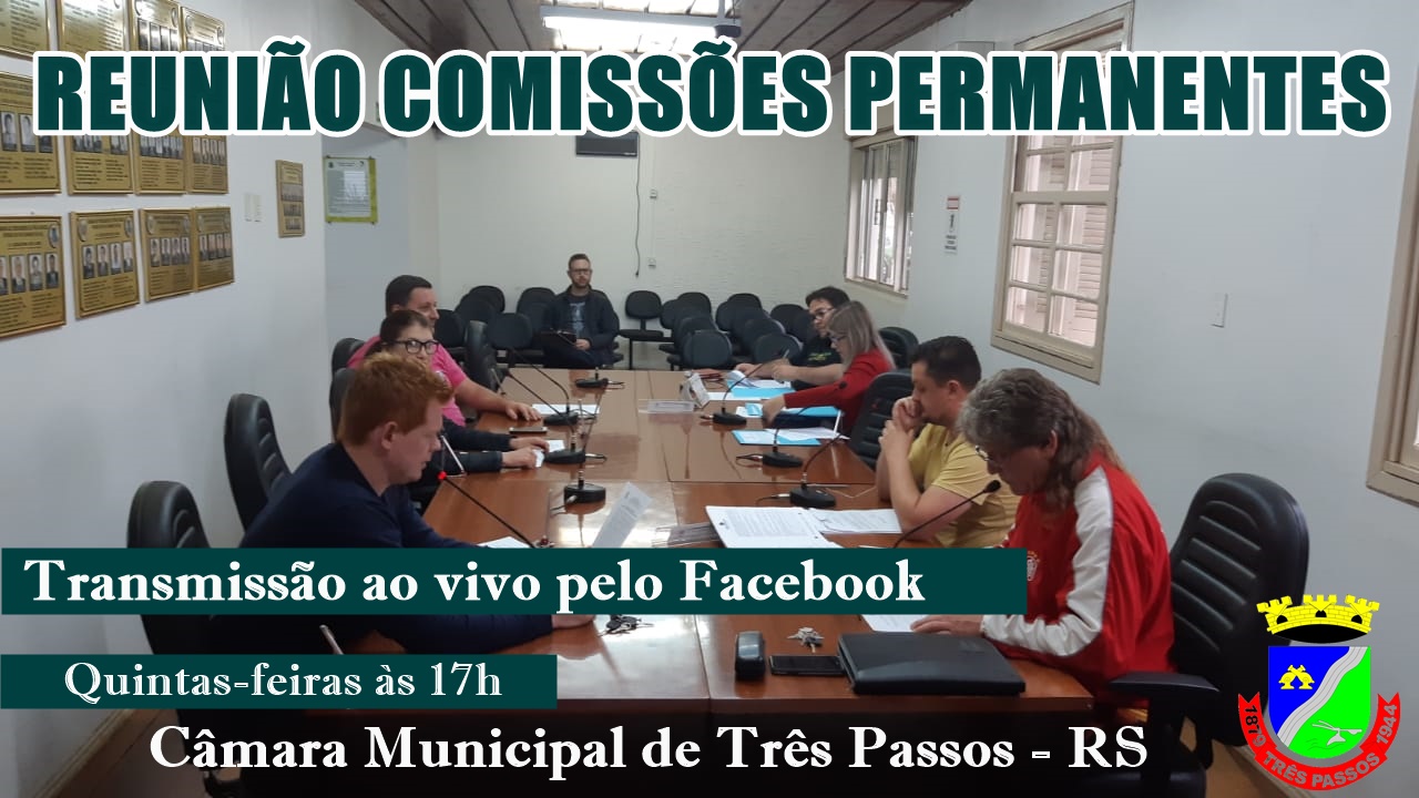 Reunião Comissões Permanentes