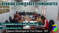 Reunião Comissões Permanentes