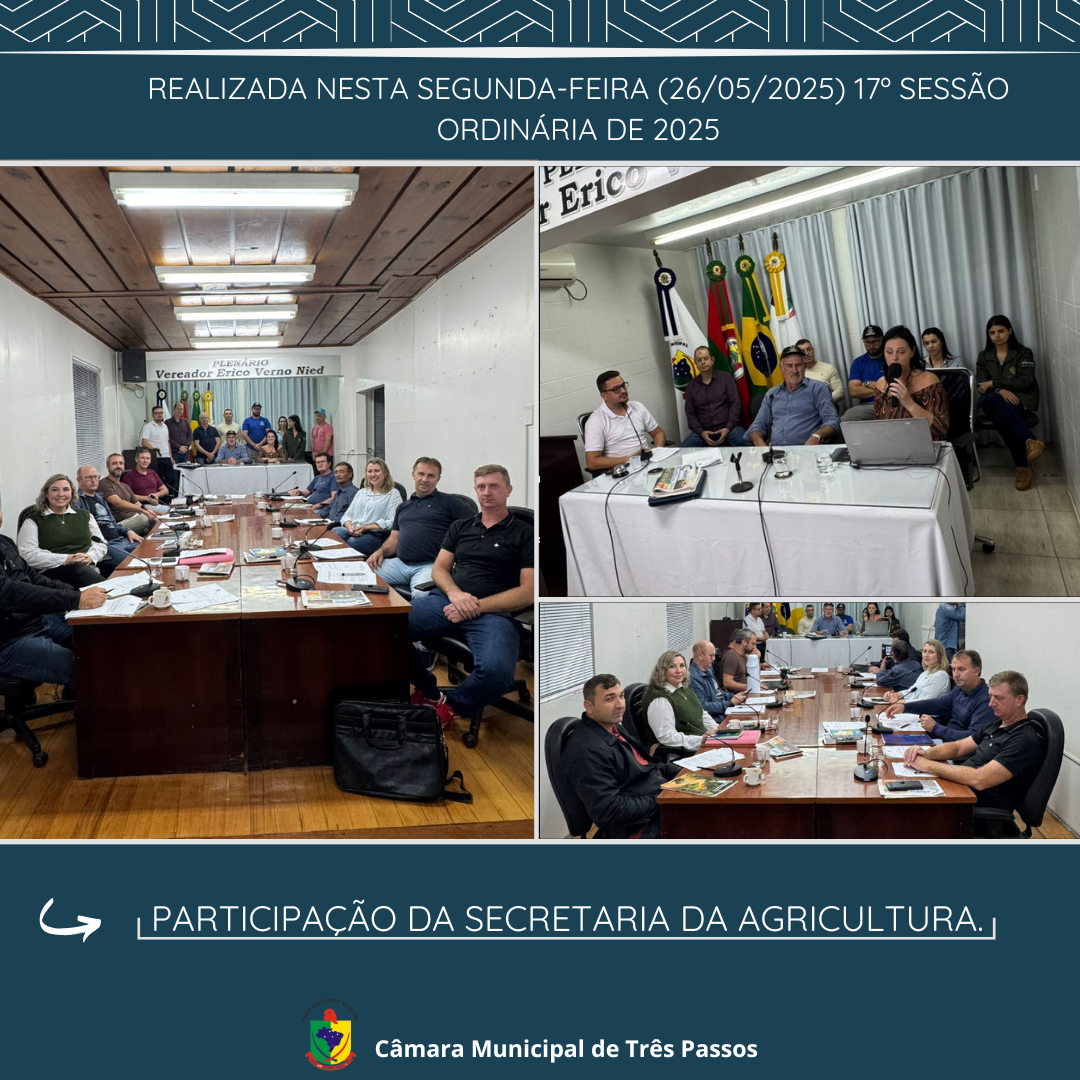 REALIZADA 17ª SESSÃO ORDINÁRIA DE 2025
