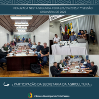 REALIZADA 17ª SESSÃO ORDINÁRIA DE 2025