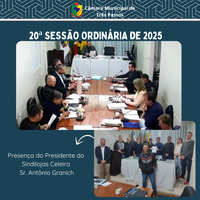 REALIZADA 20ª SESSÃO ORDINÁRIA DE 2025