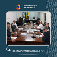 REALIZADA 6ª SESSÃO EXTRAORDINÁRIA DE 2025