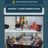 REALIZADA 8ª SESSÃO ORDINÁRIA DE 2025