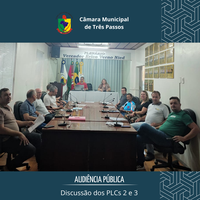 REALIZADA AUDIÊNCIA PÚBLICA PARA DISCUSSÃO DOS PLCS 2 E 3 DE 2025